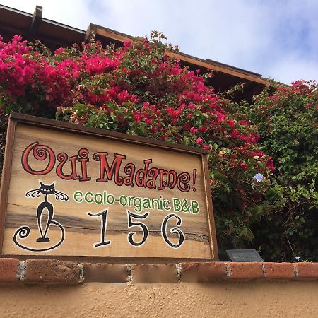 B&B Oui Madame Tijuana Extérieur photo