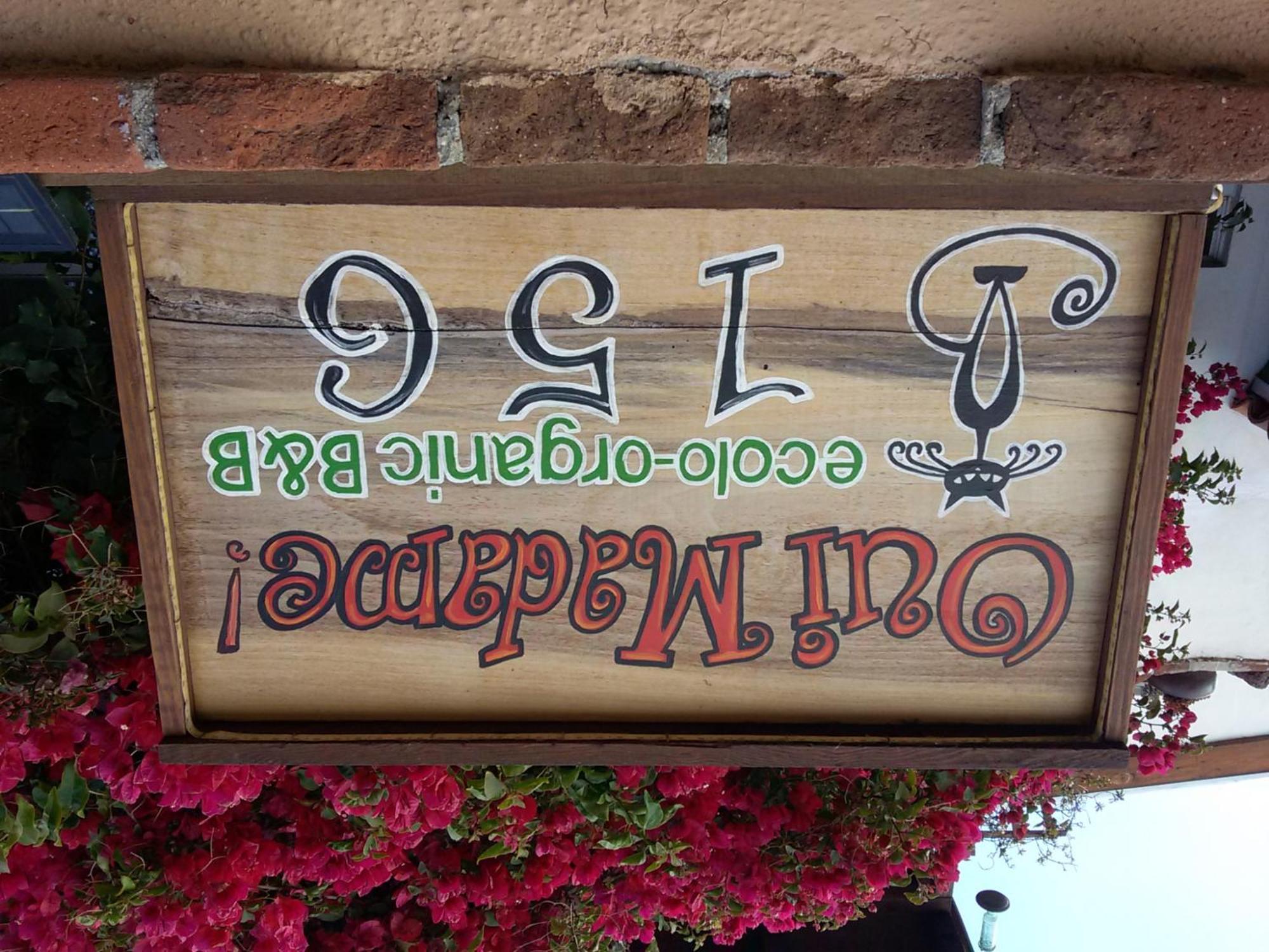 B&B Oui Madame Tijuana Extérieur photo