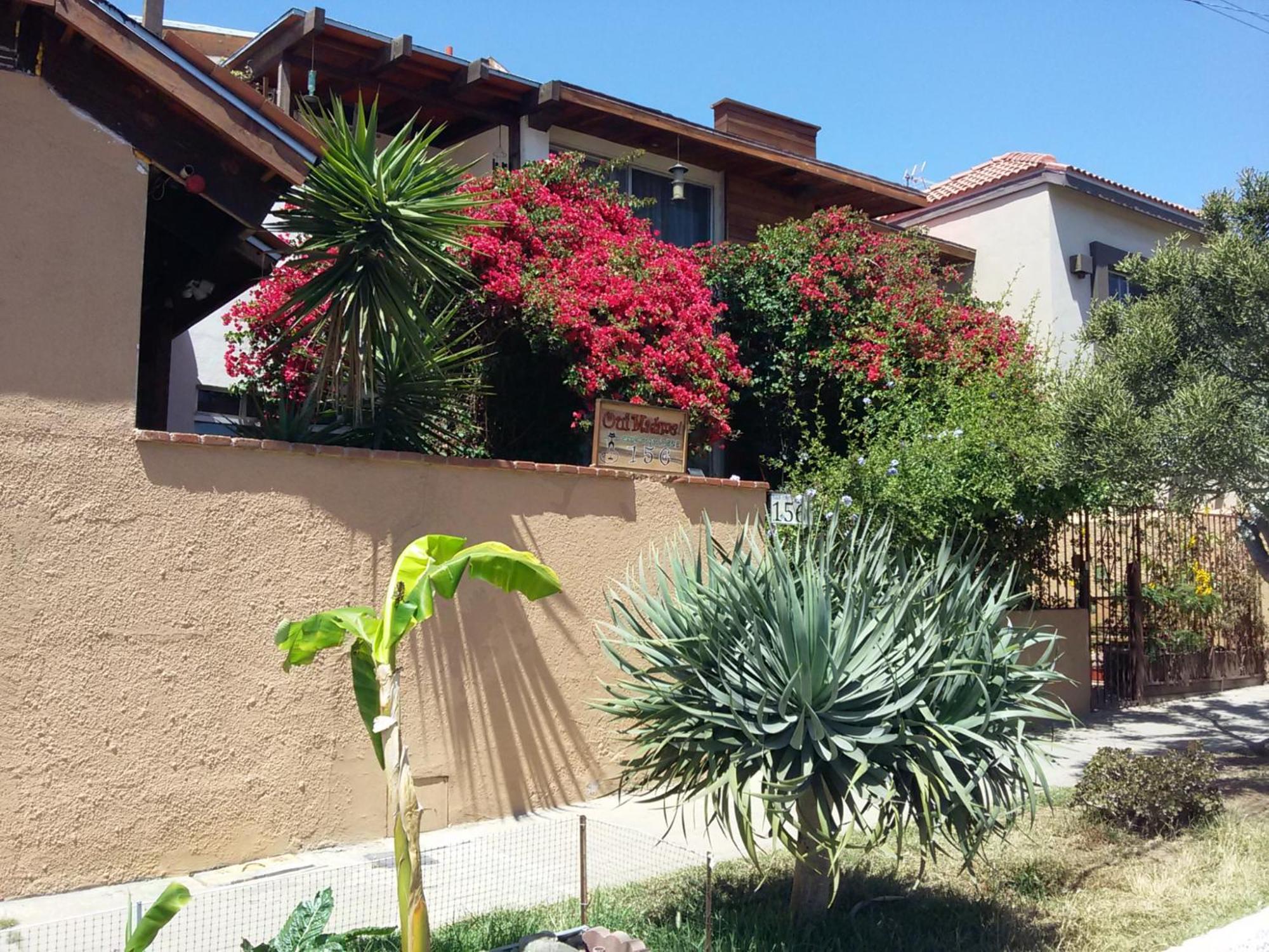 B&B Oui Madame Tijuana Extérieur photo