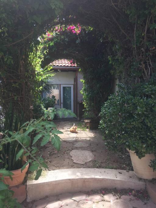 B&B Oui Madame Tijuana Chambre photo